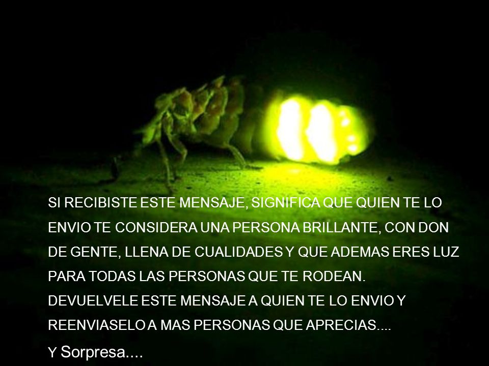 SI RECIBISTE ESTE MENSAJE, SIGNIFICA QUE QUIEN TE LO ENVIO TE CONSIDERA UNA PERSONA BRILLANTE, CON DON DE GENTE, LLENA DE CUALIDADES Y QUE ADEMAS ERES LUZ PARA TODAS LAS PERSONAS QUE TE RODEAN.