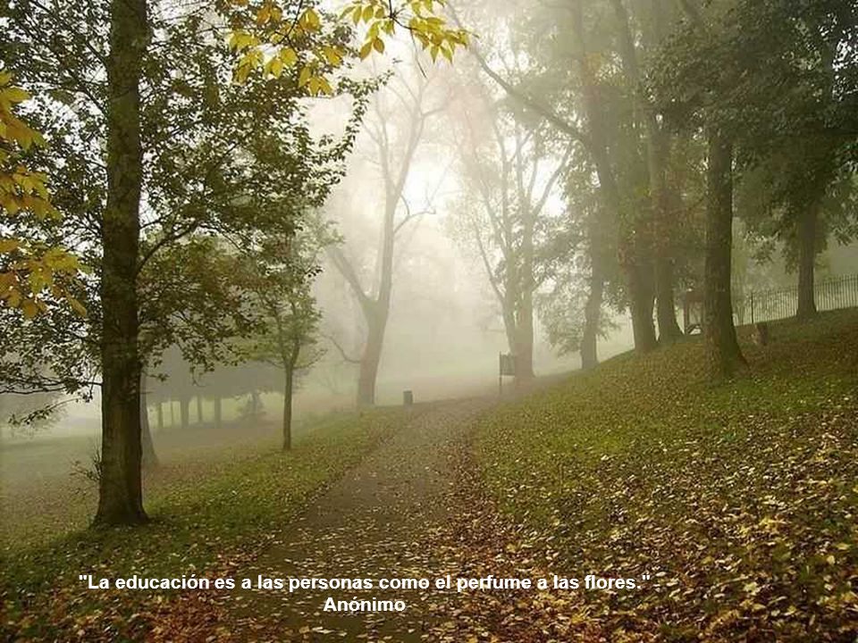 La educación es a las personas como el perfume a las flores.