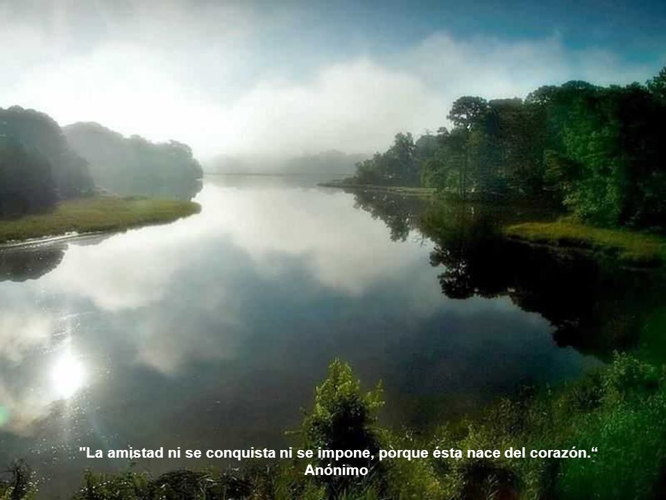 La amistad ni se conquista ni se impone, porque ésta nace del corazón