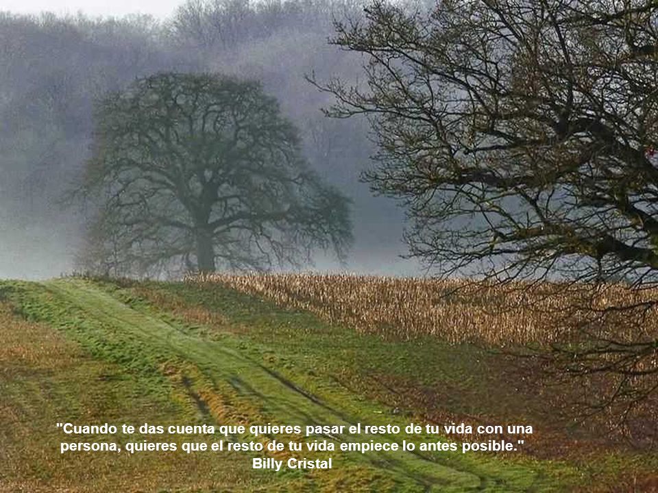 Cuando te das cuenta que quieres pasar el resto de tu vida con una persona, quieres que el resto de tu vida empiece lo antes posible.