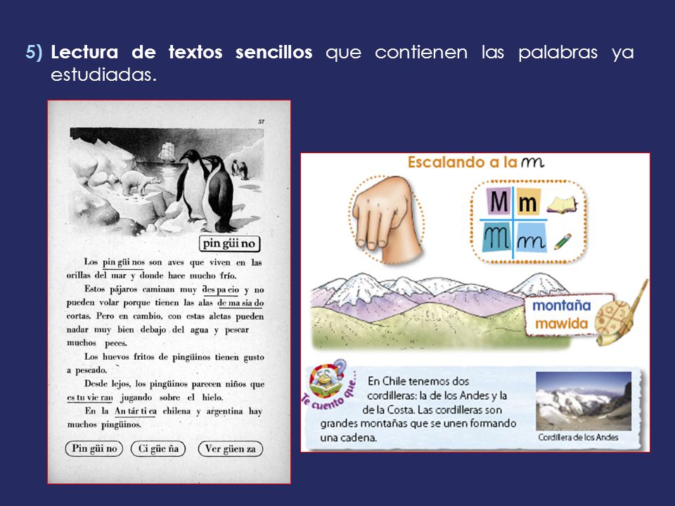 Lectura de textos sencillos que contienen las palabras ya estudiadas.