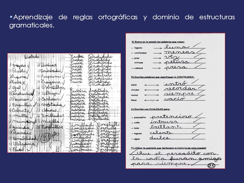 Aprendizaje de reglas ortográficas y dominio de estructuras gramaticales.
