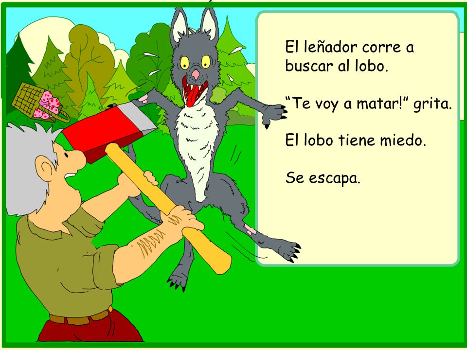 El leñador corre a buscar al lobo.