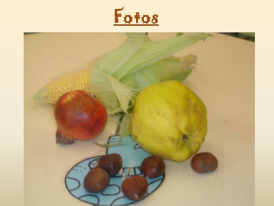 Fotos