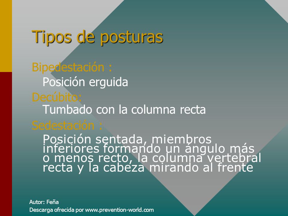 Tipos de posturas Bipedestación : Posición erguida Decúbito: