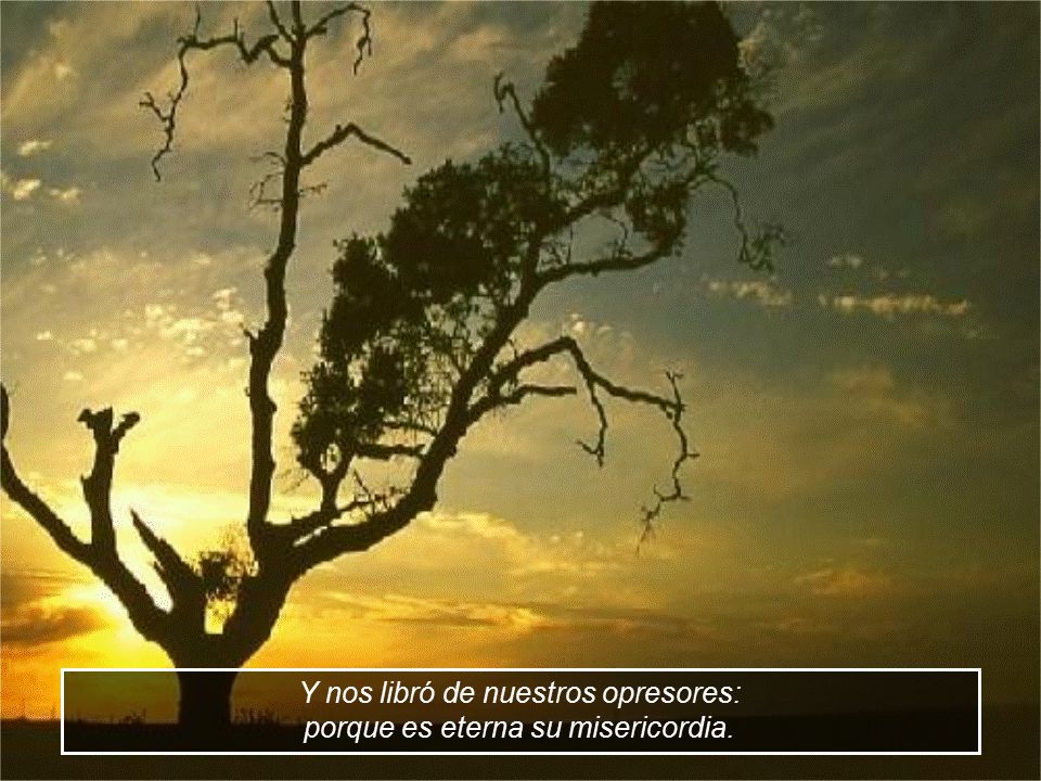 Y nos libró de nuestros opresores: porque es eterna su misericordia.
