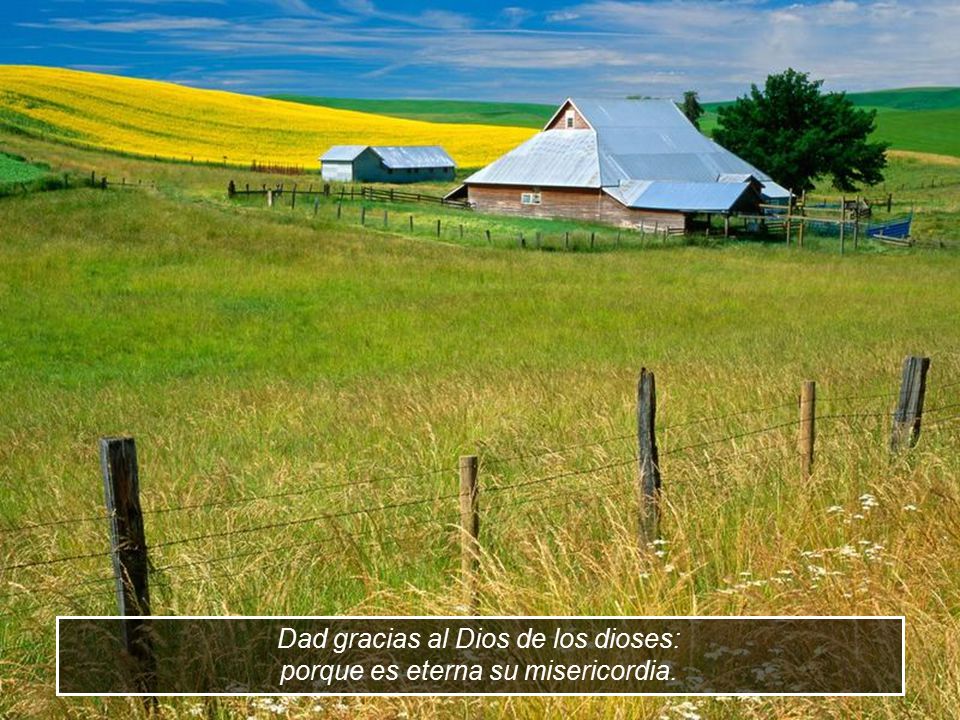 Dad gracias al Dios de los dioses: porque es eterna su misericordia.