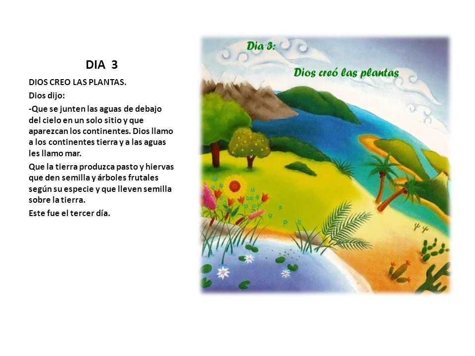 DIA 1 DIOS CREO EL DIA Y LA NOCHE. Dios dijo: - ppt video online descargar