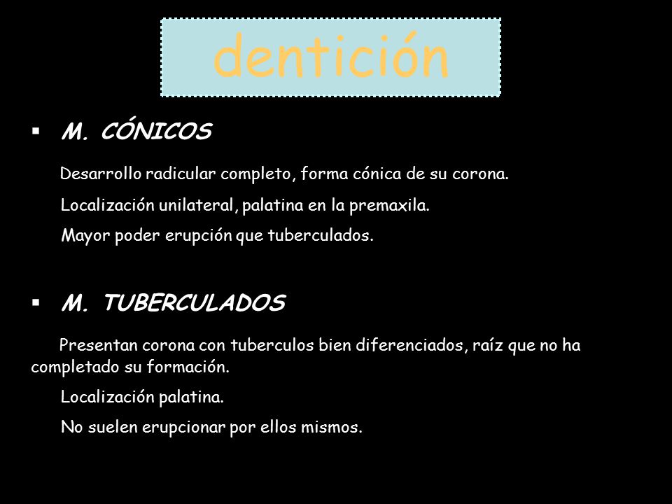 dentición M. CÓNICOS. Desarrollo radicular completo, forma cónica de su corona. Localización unilateral, palatina en la premaxila.