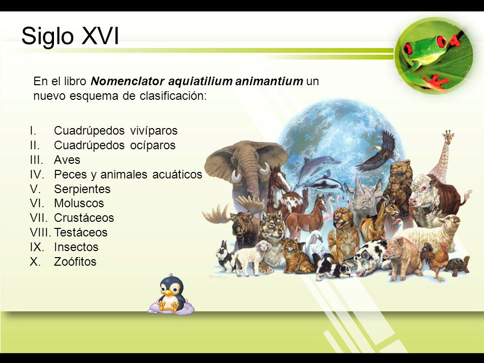 Siglo XVI En el libro Nomenclator aquiatilium animantium un nuevo esquema de clasificación: Cuadrúpedos vivíparos.
