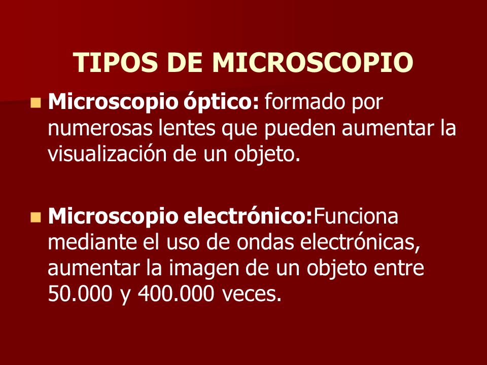 TIPOS DE MICROSCOPIO Microscopio óptico: formado por numerosas lentes que pueden aumentar la visualización de un objeto.