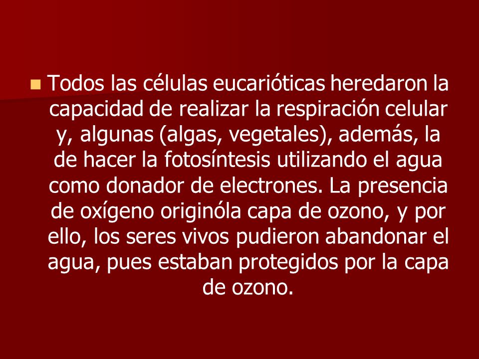 Todos las células eucarióticas heredaron la capacidad de realizar la respiración celular y, algunas (algas, vegetales), además, la de hacer la fotosíntesis utilizando el agua como donador de electrones.