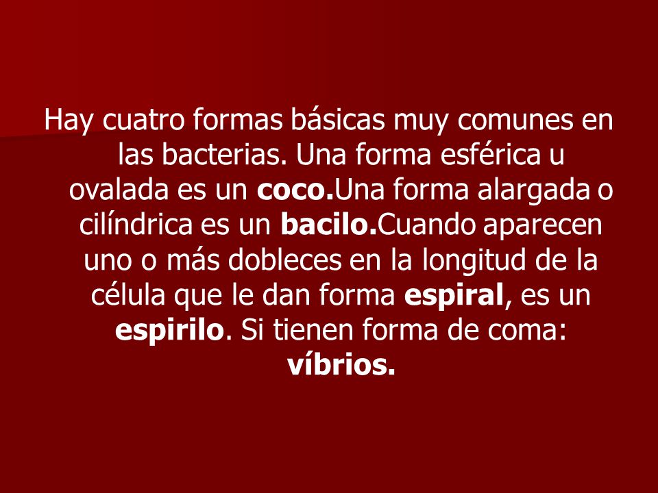 Hay cuatro formas básicas muy comunes en las bacterias