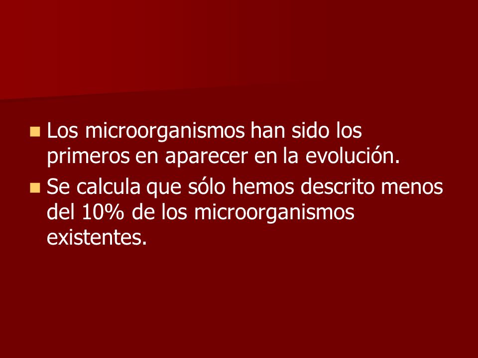 Los microorganismos han sido los primeros en aparecer en la evolución.