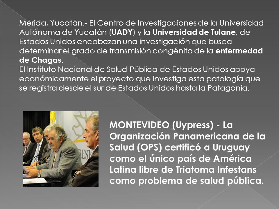 Mérida, Yucatán.- El Centro de Investigaciones de la Universidad Autónoma de Yucatán (UADY) y la Universidad de Tulane, de Estados Unidos encabezan una investigación que busca determinar el grado de transmisión congénita de la enfermedad de Chagas.