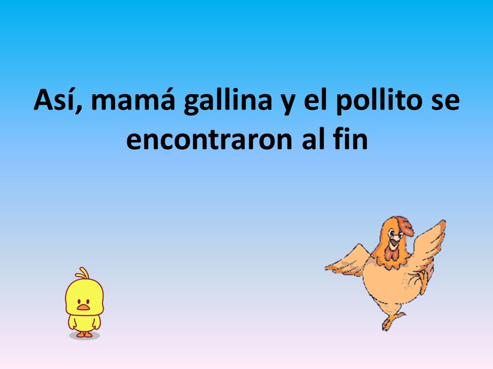 Así, mamá gallina y el pollito se encontraron al fin