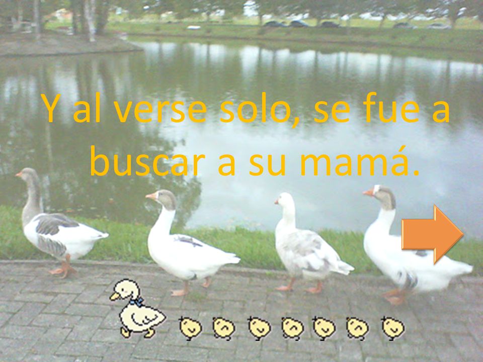 Y al verse solo, se fue a buscar a su mamá.