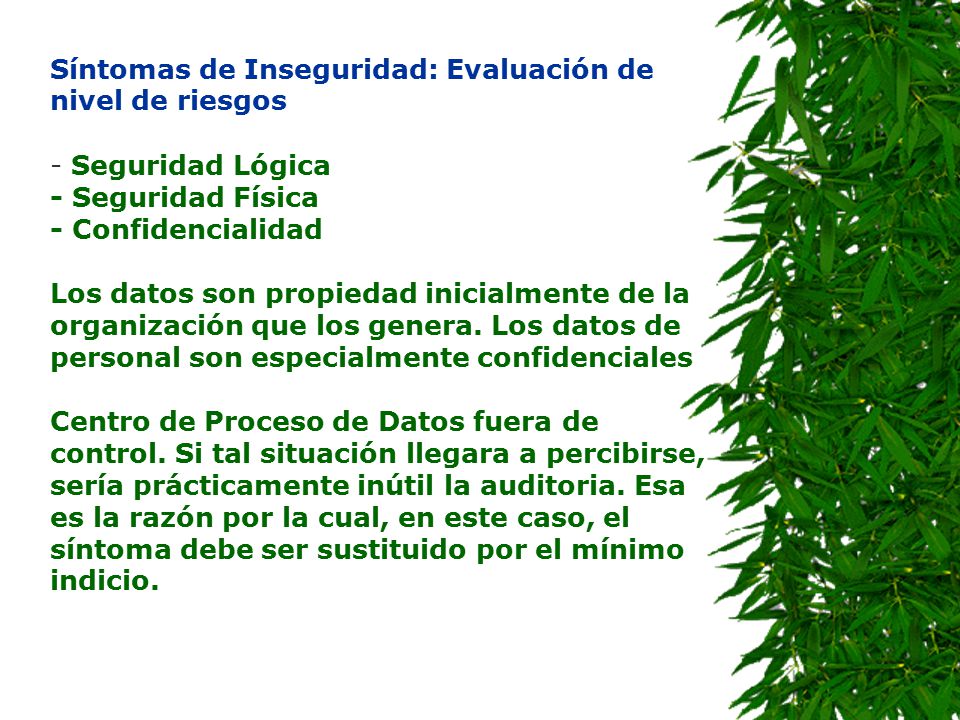 Síntomas de Inseguridad: Evaluación de nivel de riesgos - Seguridad Lógica - Seguridad Física - Confidencialidad Los datos son propiedad inicialmente de la organización que los genera.