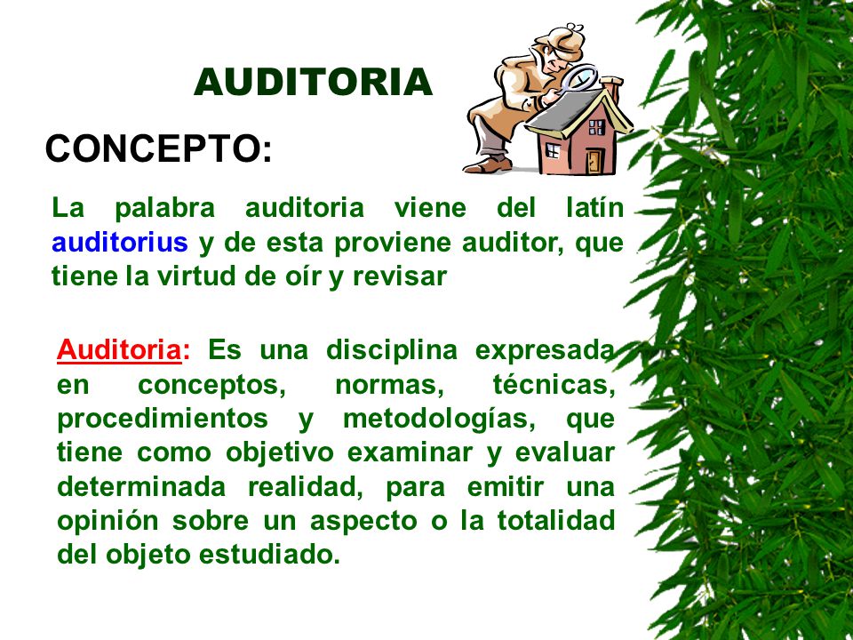 AUDITORIA CONCEPTO: La palabra auditoria viene del latín auditorius y de esta proviene auditor, que tiene la virtud de oír y revisar.