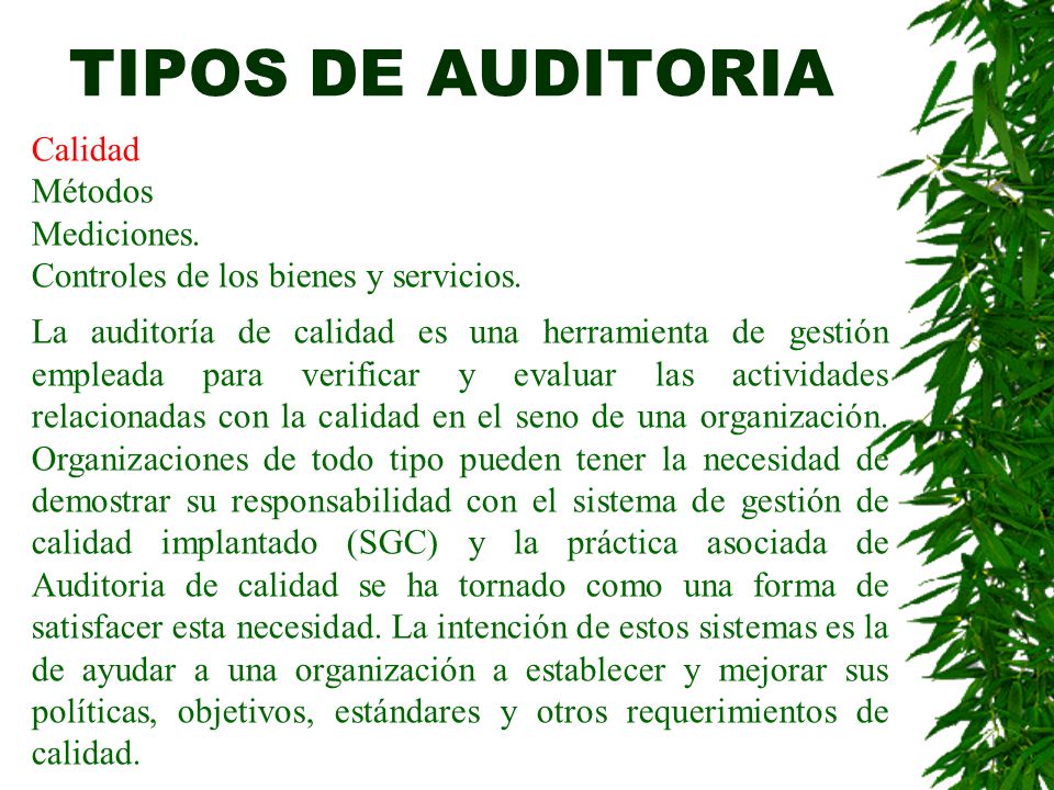 TIPOS DE AUDITORIA Calidad Métodos Mediciones.