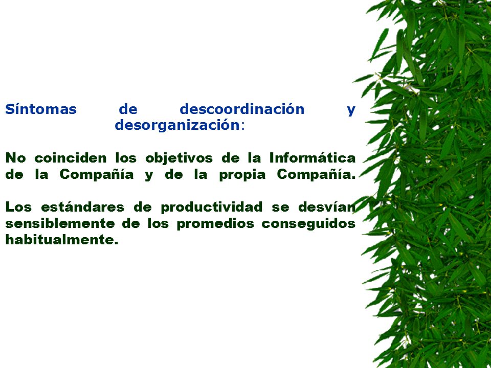 Síntomas de descoordinación y desorganización: No coinciden los objetivos de la Informática de la Compañía y de la propia Compañía.