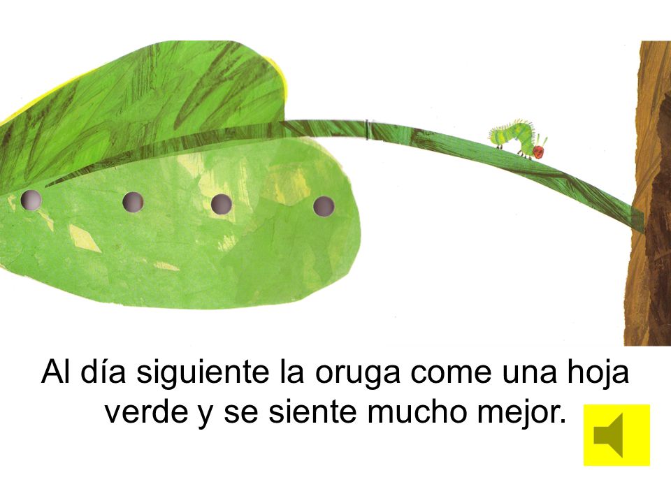Al día siguiente la oruga come una hoja verde y se siente mucho mejor.