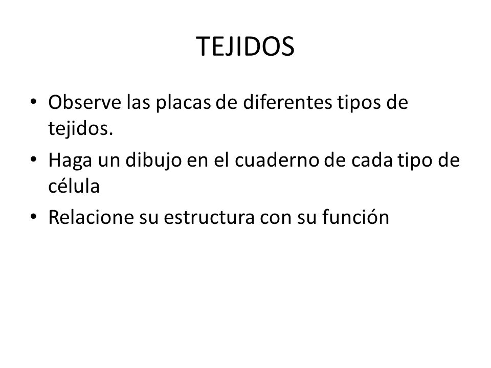 TEJIDOS Observe las placas de diferentes tipos de tejidos.