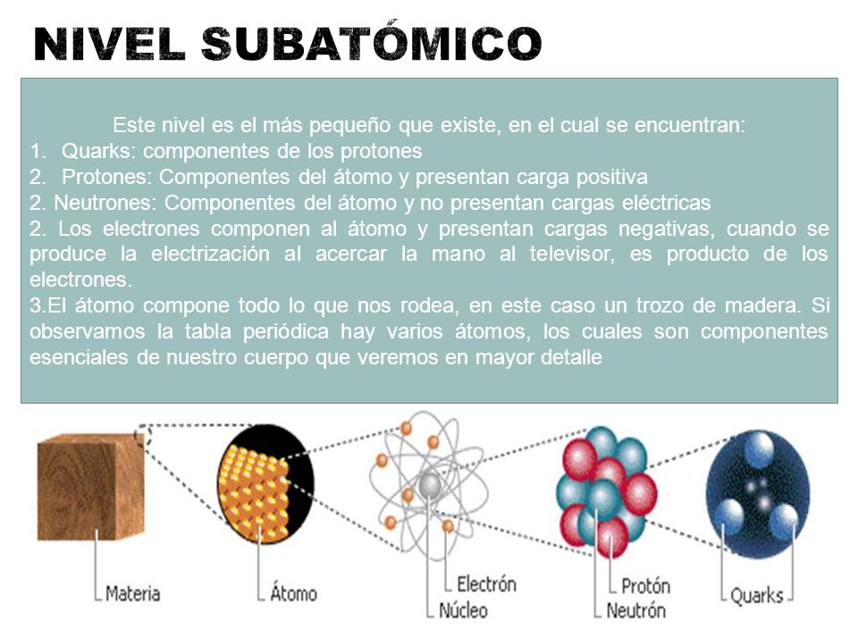 Este nivel es el más pequeño que existe, en el cual se encuentran: