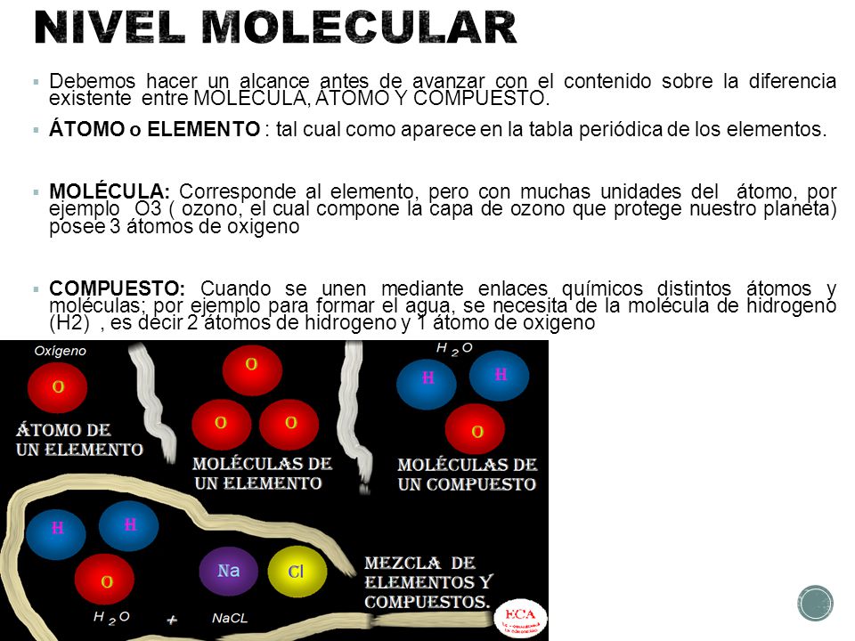 NIVEL MOLECULAR Debemos hacer un alcance antes de avanzar con el contenido sobre la diferencia existente entre MOLECULA, ÁTOMO Y COMPUESTO.