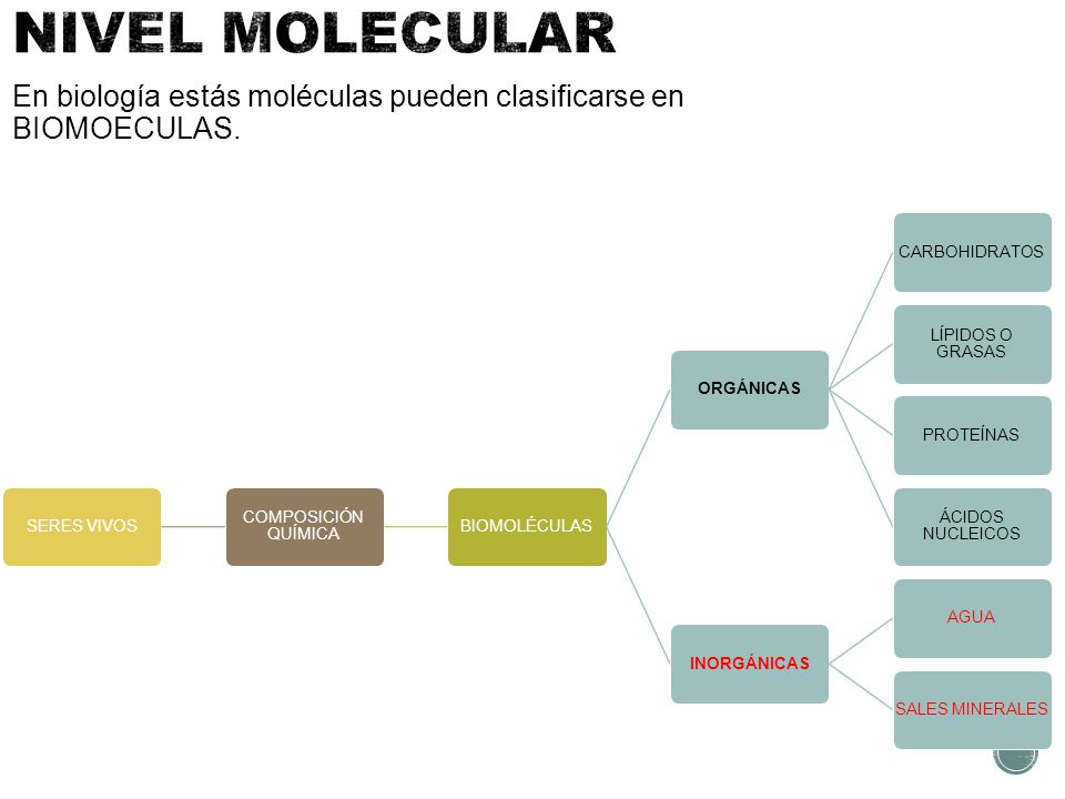 NIVEL MOLECULAR En biología estás moléculas pueden clasificarse en BIOMOECULAS. SERES VIVOS. COMPOSICIÓN QUÍMICA.