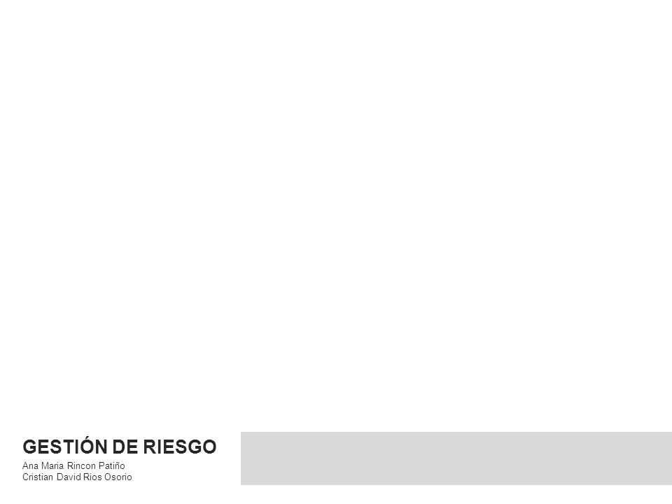 GESTIÓN DE RIESGO Ana Maria Rincon Patiño Cristian David Rios Osorio