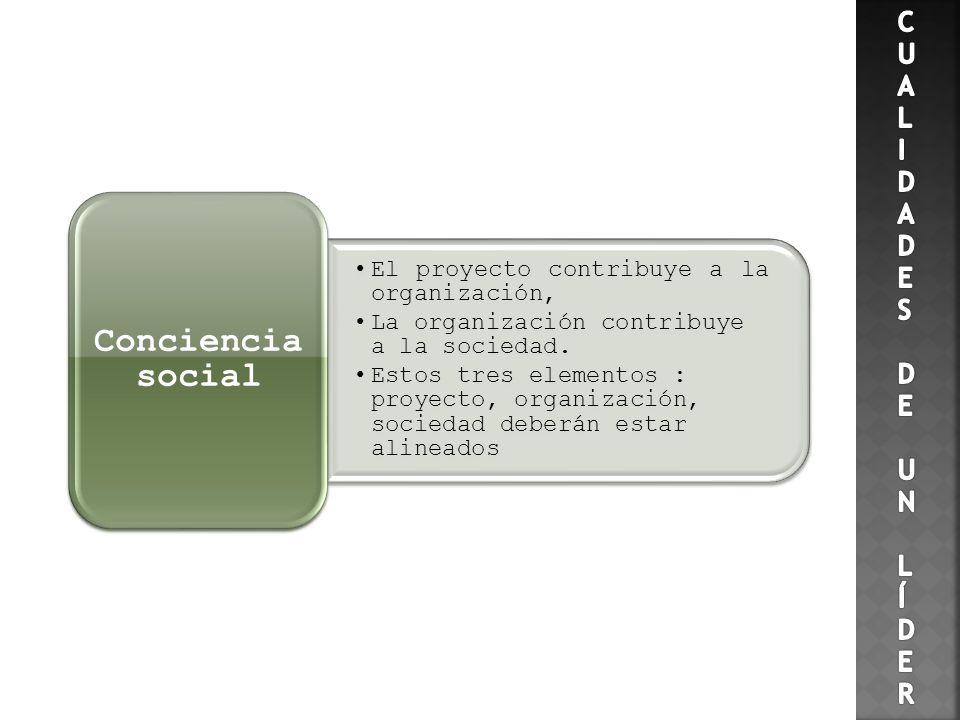 CUA L I DADE S DE UN L Í DER El proyecto contribuye a la organización,