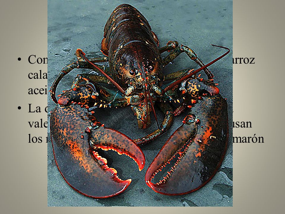 La Paella de Mariscas Como muchas Paellas, esta plata usa el arroz calasparra, con azafrán y el aceite de la aceituna.