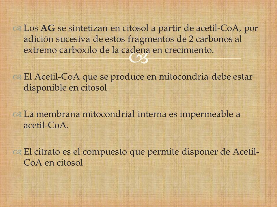 Los AG se sintetizan en citosol a partir de acetil-CoA, por adición sucesiva de estos fragmentos de 2 carbonos al extremo carboxilo de la cadena en crecimiento.