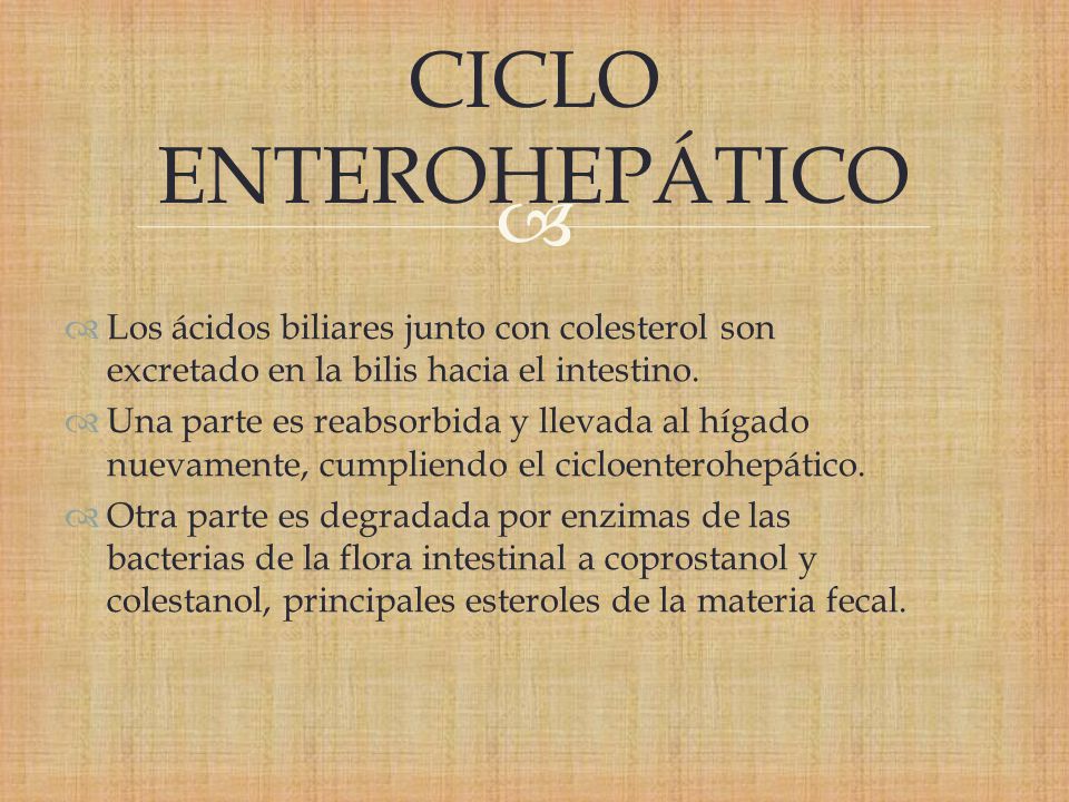 CICLO ENTEROHEPÁTICO Los ácidos biliares junto con colesterol son excretado en la bilis hacia el intestino.