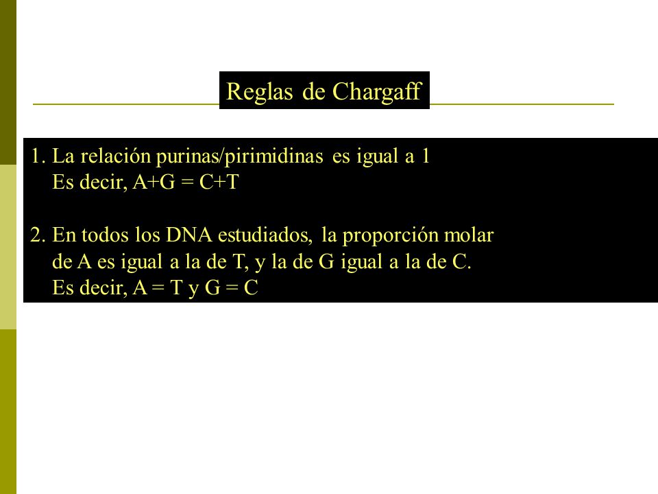 Reglas de Chargaff 1. La relación purinas/pirimidinas es igual a 1