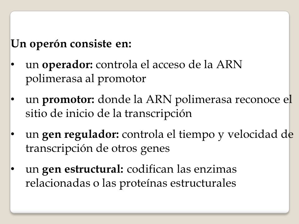 Un operón consiste en: un operador: controla el acceso de la ARN polimerasa al promotor.