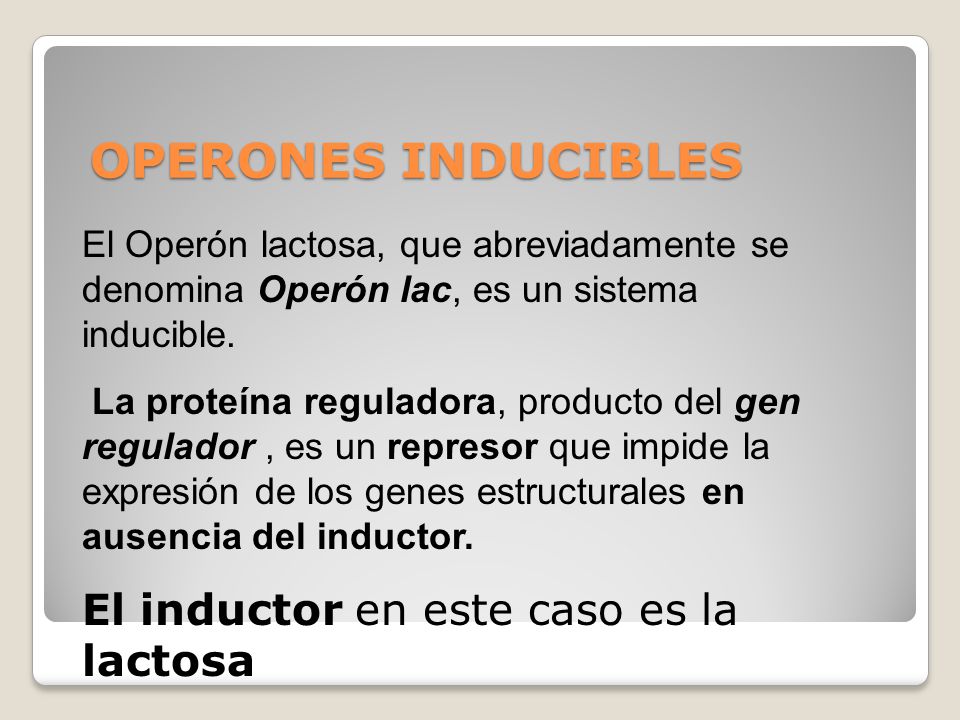 OPERONES INDUCIBLES El inductor en este caso es la lactosa