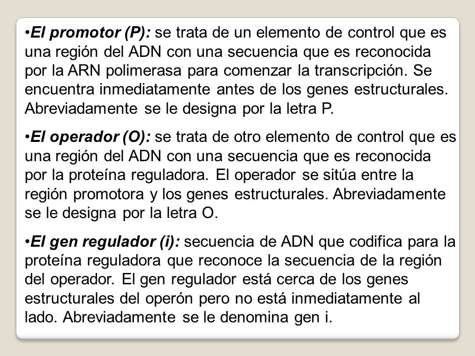El promotor (P): se trata de un elemento de control que es una región del ADN con una secuencia que es reconocida por la ARN polimerasa para comenzar la transcripción. Se encuentra inmediatamente antes de los genes estructurales. Abreviadamente se le designa por la letra P.