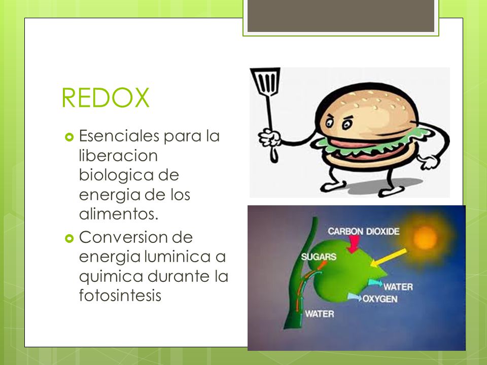 REDOX Esenciales para la liberacion biologica de energia de los alimentos.