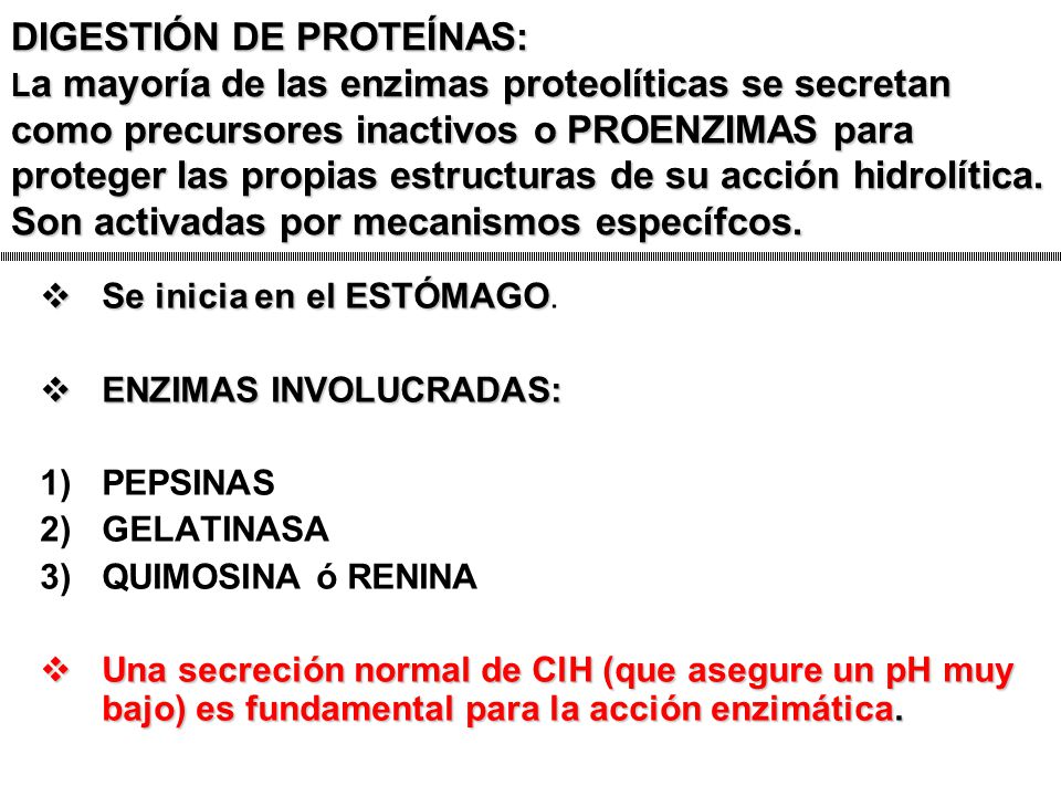 DIGESTIÓN DE PROTEÍNAS: La mayoría de las enzimas proteolíticas se secretan como precursores inactivos o PROENZIMAS para proteger las propias estructuras de su acción hidrolítica. Son activadas por mecanismos específcos.