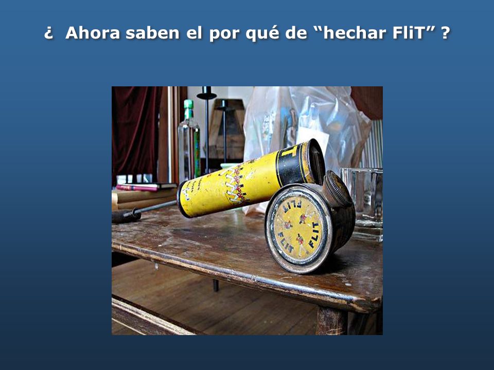 ¿ Ahora saben el por qué de hechar FliT