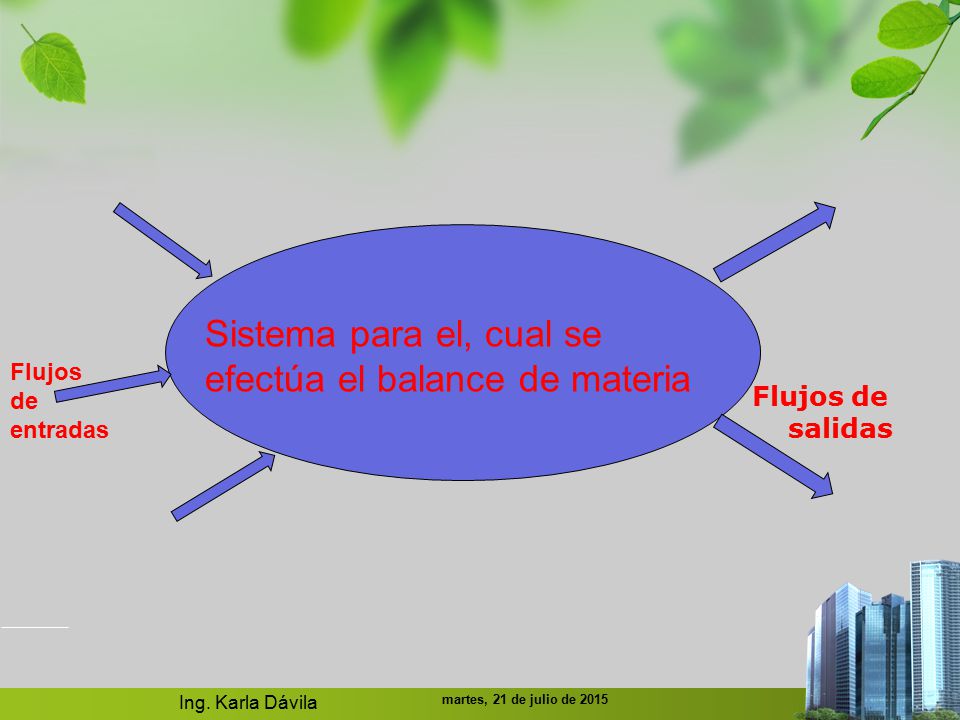 Sistema para el, cual se efectúa el balance de materia