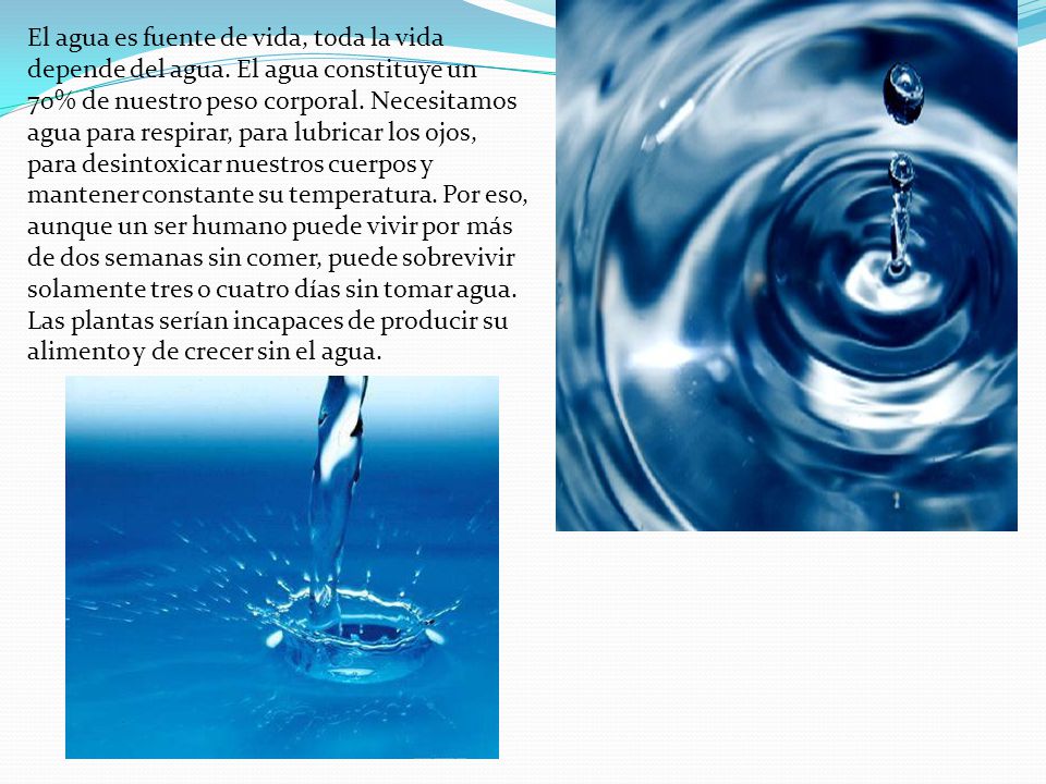 El agua es fuente de vida, toda la vida depende del agua