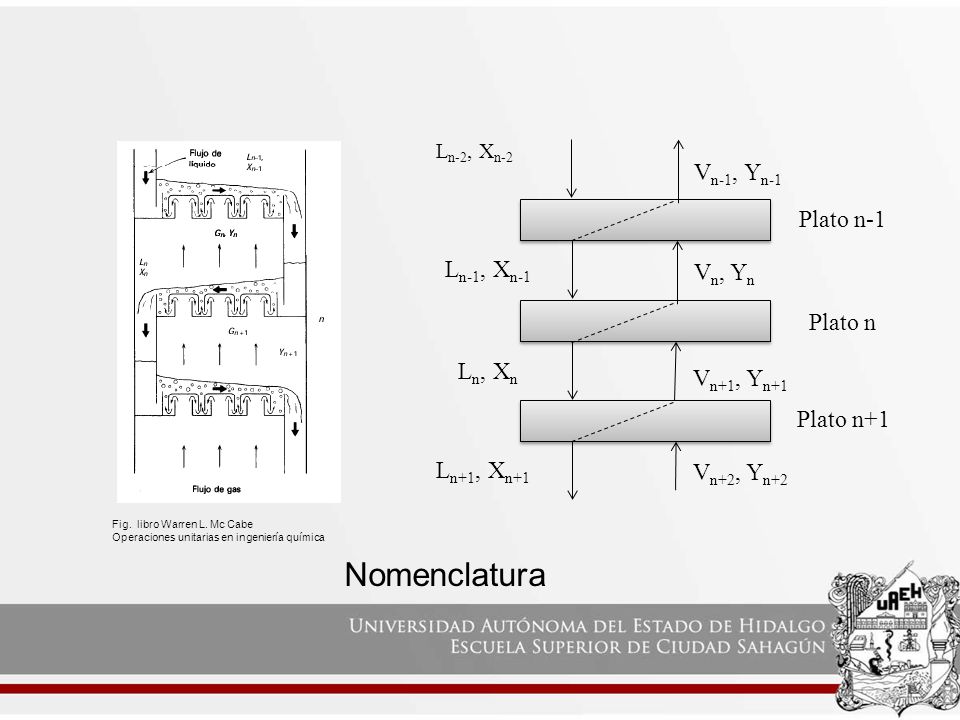 Nomenclatura Vn-1, Yn-1 Plato n-1 Ln-1, Xn-1 Vn, Yn Plato n Ln, Xn