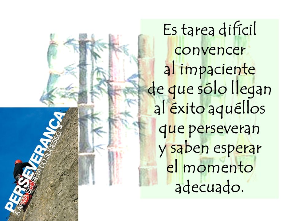 Es tarea difícil convencer de que sólo llegan al éxito aquéllos