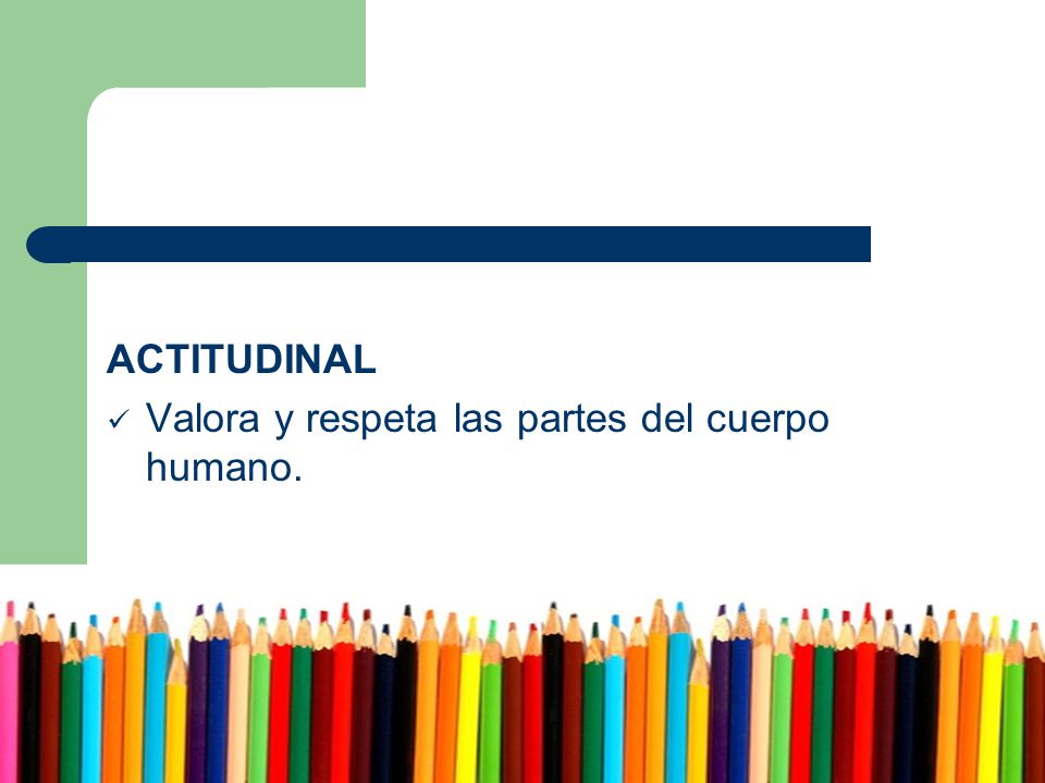 ACTITUDINAL Valora y respeta las partes del cuerpo humano.