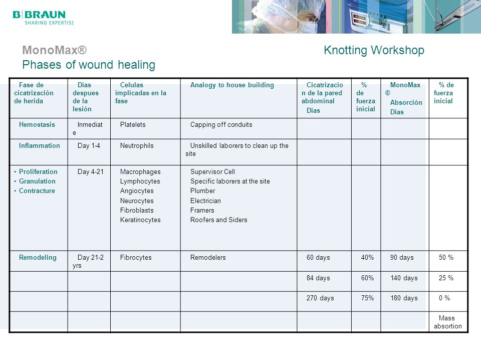 MonoMax® Knotting Workshop Phases of wound healing