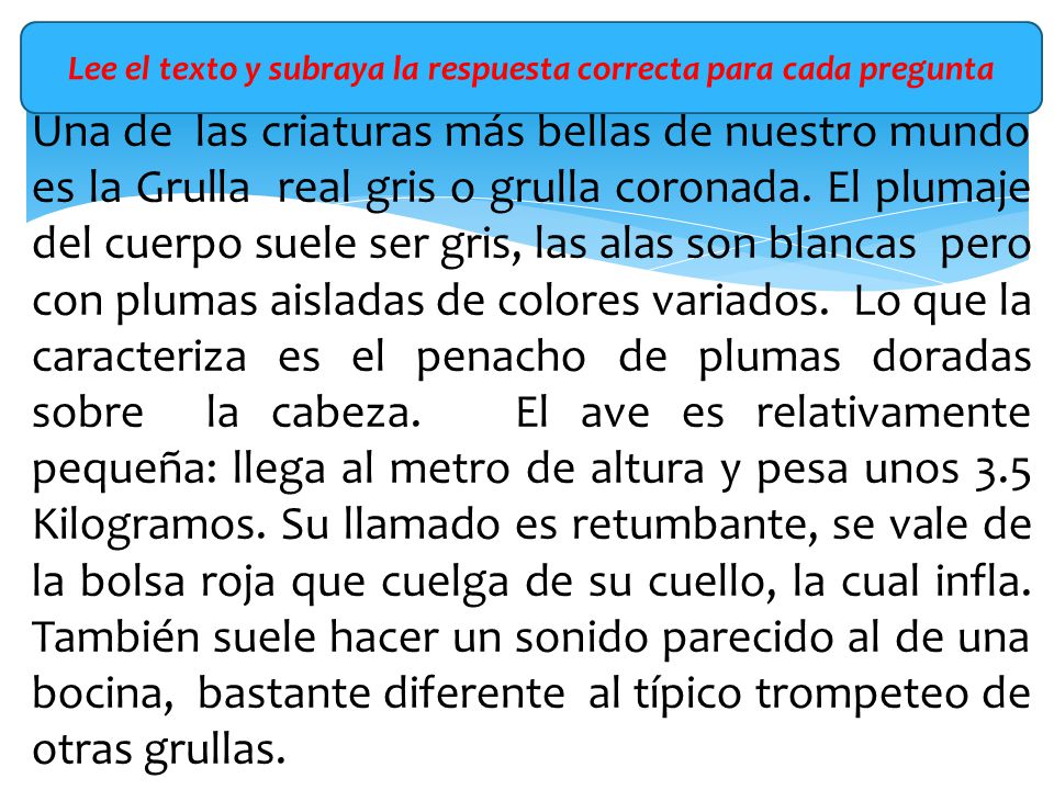 Lee el texto y subraya la respuesta correcta para cada pregunta