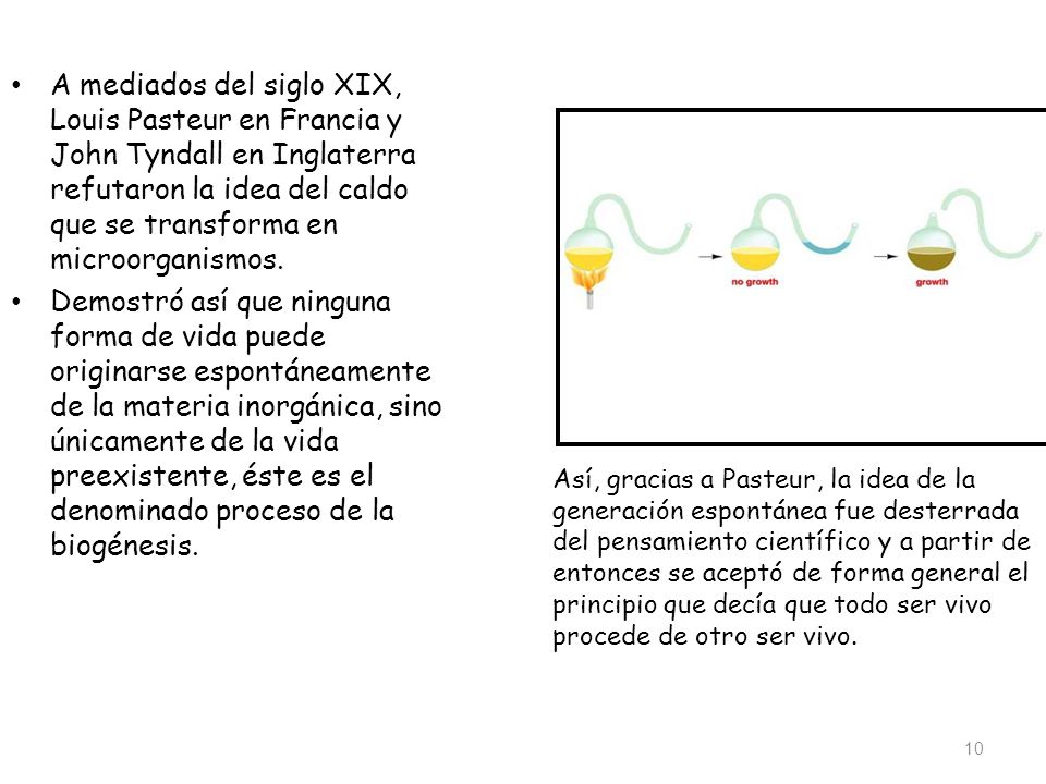 A mediados del siglo XIX, Louis Pasteur en Francia y John Tyndall en Inglaterra refutaron la idea del caldo que se transforma en microorganismos.